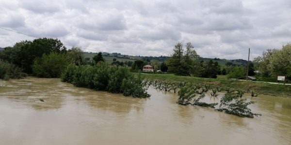 alluvione-emilia-romagna-maggio-2023-attivita-di-studio-e-analisi-sui-fiumi-dei-bacini-reno-romagnoli-e-conca-marecchia-per-laggiornamento-dei-pai-e-del-pgra-04